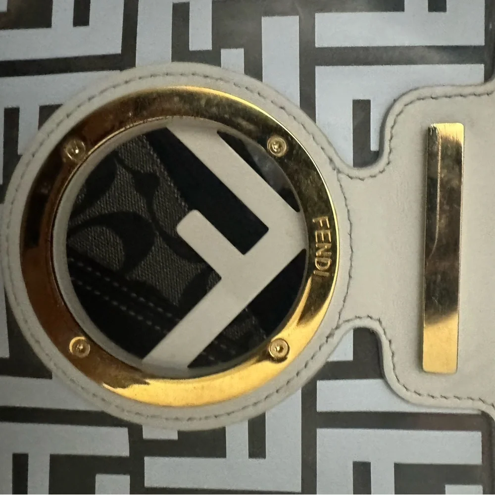 Fendi crossbody all